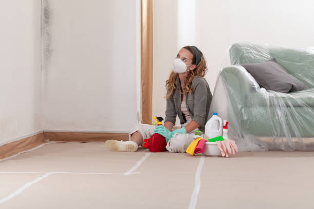 Reliable Mold Inspection contractor in Walkersville, MD by WQB Mold Removal